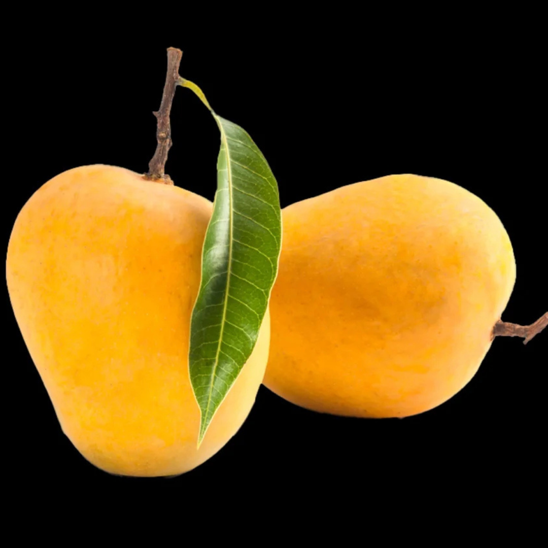 Organic Mango Manufacturer and Supplier in India